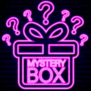 RESELLER NWT MYSTERY BOX UP TO 5 LBS WOMENS CLOTHING VARIOUS ALL NWT